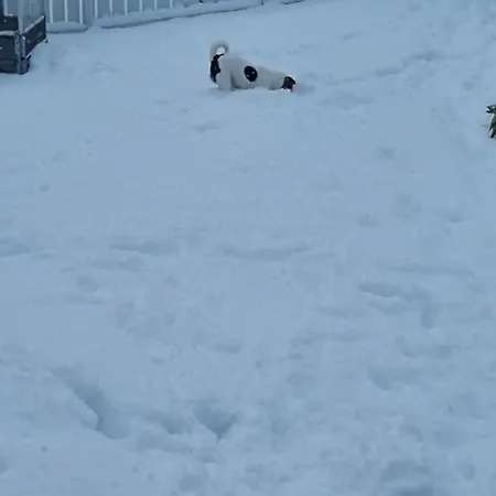 Med 3 Soverom Appartement